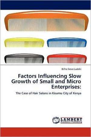 Factors Influencing Slow Growth of Small and Micro Enterprises de Bilha Sesia Ludeki