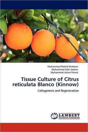 Tissue Culture of Citrus reticulata Blanco (Kinnow) de Muhammad Rashid Shaheen