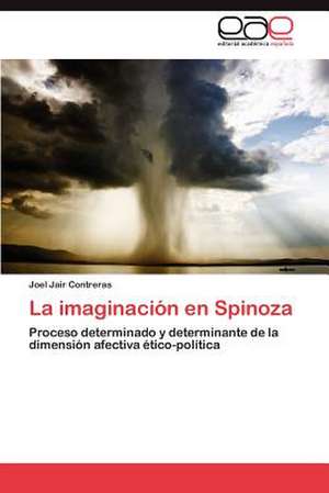 La Imaginacion En Spinoza