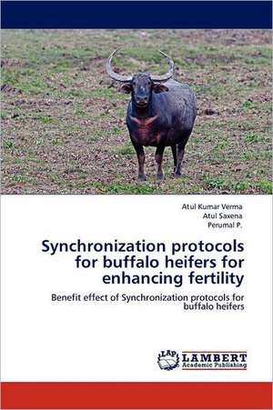 Synchronization protocols for buffalo heifers for enhancing fertility de Atul Kumar Verma