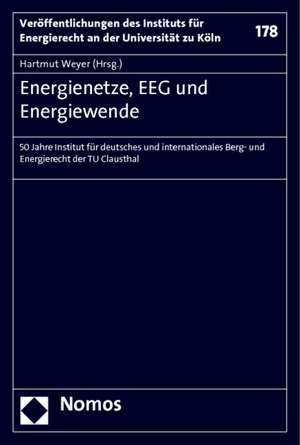 Energienetze, EEG und Energiewende de Hartmut Weyer