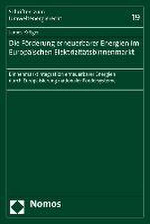 Die Forderung Erneuerbarer Energien Im Europaischen Elektrizitatsbinnenmarkt: Binnenmarktintegration Erneuerbarer Energien Durch Europaisierung Nation de James Kröger