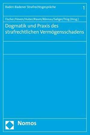 Dogmatik Und Praxis Des Strafrechtlichen Vermogensschadens: Aufsatze Zur Volkerrechtsgeschichte 2008-2015 de Thomas Fischer