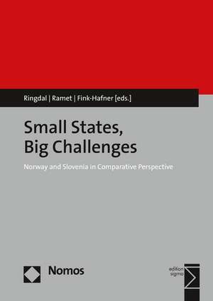 Small States, Big Challenges de Kristen Ringdal