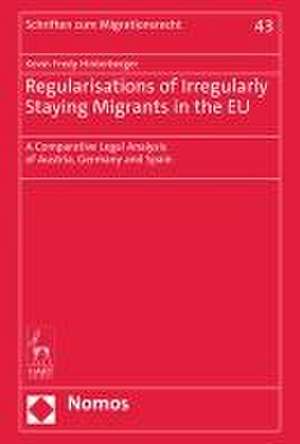 Regularisations of Irregularly Staying Migrants in the EU de Kevin Fredy Hinterberger