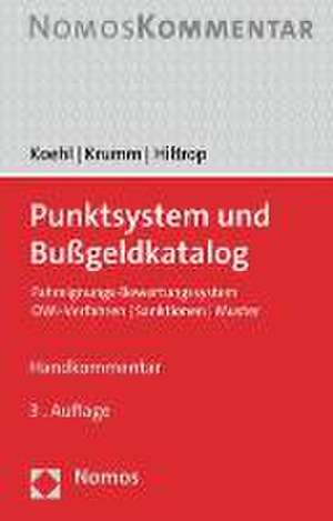 Punktsystem und Bußgeldkatalog de Felix Koehl