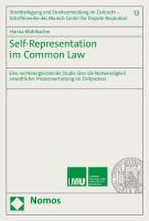 Self-Representation im Common Law de Hanna Mühlbacher