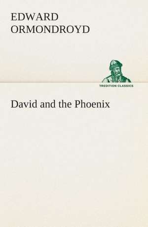 David and the Phoenix de Edward Ormondroyd