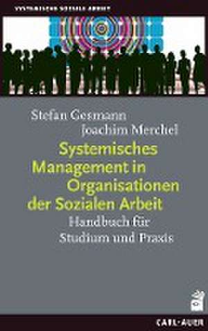 Systemisches Management in Organisationen der Sozialen Arbeit de Stefan Gesmann