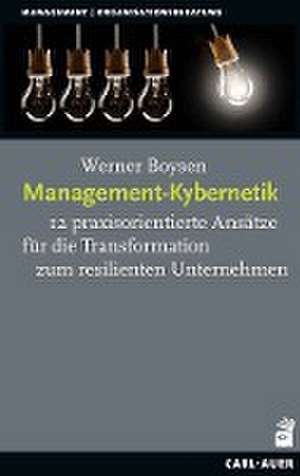 Management-Kybernetik de Werner Boysen