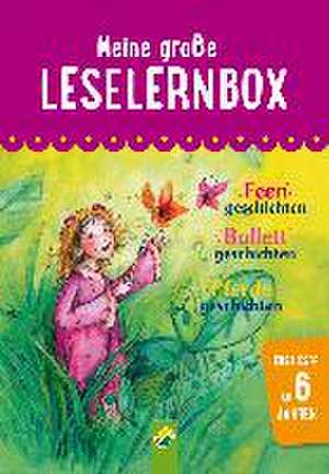 Meine große Leselernbox - Feengeschichten, Ballettgeschichten, Pferdegeschichten de Carola von Kessel