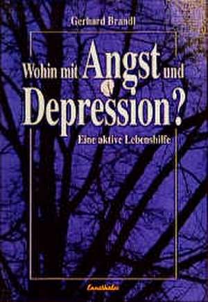 Wohin mit Angst und Depression? de Gerhard Brandl