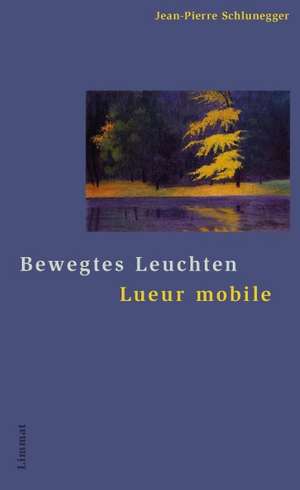 Bewegtes Leuchten / Lueur mobile de Christoph Ferber