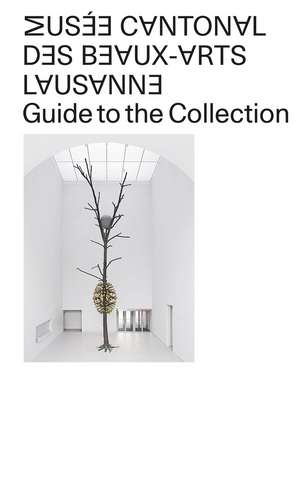 Musée Cantonal des Beaux-Arts de Lausanne: Guide to the Collection de Musée Cantonal des Beaux-Arts Lausanne