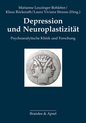 Depression und Neuroplastizität de Marianne Leuzinger-Bohleber