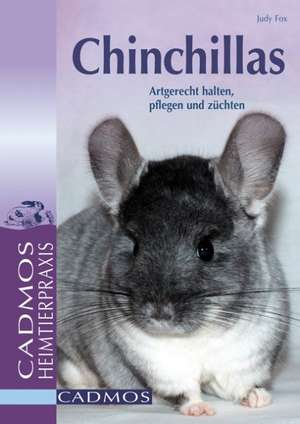 Chinchillas de Judy Fox