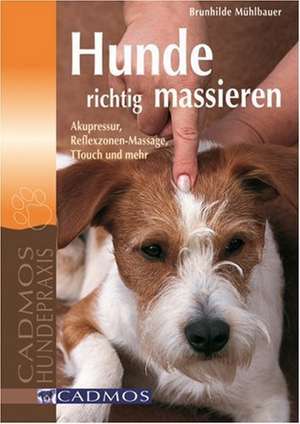 Hunde richtig massieren de Brunhilde Mühlbauer