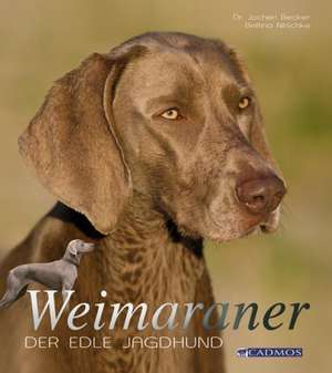 Weimaraner de Jochen Becker