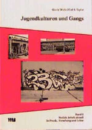 Jugendkulturen und Gangs de Gisela Thiele