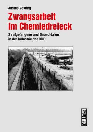 Zwangsarbeit im Chemiedreieck de Justus Vesting