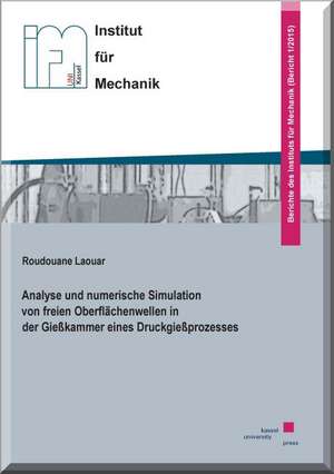 Analyse und numerische Simulation von freien Oberflächenwellen in der Gießkammer eines Druckgießprozesses de Roudouane Laouar