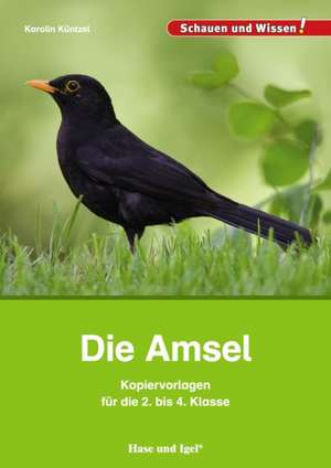 Die Amsel - Kopiervorlagen für die 2. bis 4. Klasse de Karolin Küntzel