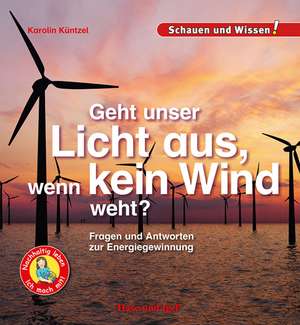 Geht unser Licht aus, wenn kein Wind weht? de Karolin Küntzel