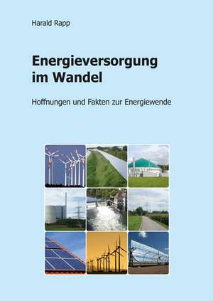 Energieversorgung im Wandel de Harald Rapp