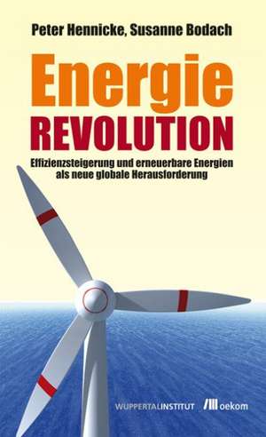 Energierevolution de Peter Hennicke