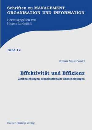 Effektivität und Effizienz de Kilian Sauerwald