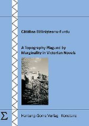 A Topography Plagued by Marginality in Victorian Novels de Catalina Balinisteanu-Furdu