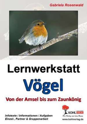 Lernwerkstatt Vögel Von der Amsel bis zum Zaunkönig de Gabriela Rosenwald