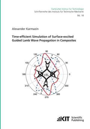 Time-efficient Simulation of Surface-excited Guided Lamb Wave Propagation in Composites de Alexander Karmazin