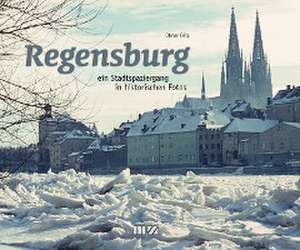 Regensburg de Otmar Fritz