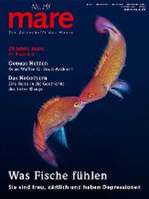 mare - Die Zeitschrift der Meere / No. 151 / Was Fische fühlen de Nikolaus Gelpke