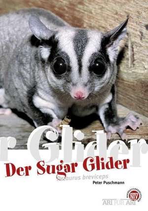 Der Sugar Glider de Peter Puschmann