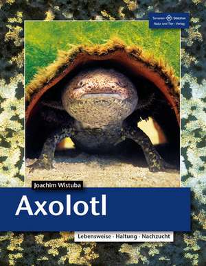 Axolotl de Joachim Wistuba