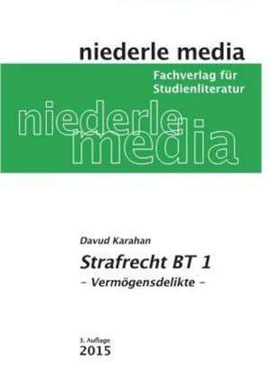 Karteikarten Strafrecht BT 1 de Davud Karahan