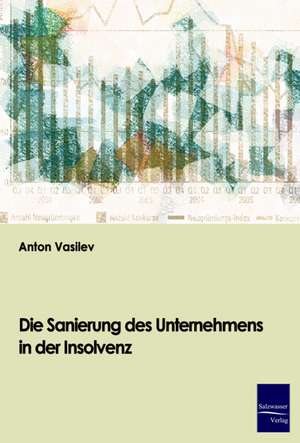 Die Sanierung des Unternehmens in der Insolvenz de Anton Vasilev