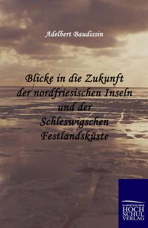 Blicke in die Zukunft der nordfriesischen Inseln und der Schleswigschen Festlandsküste de Adelbert Baudissin