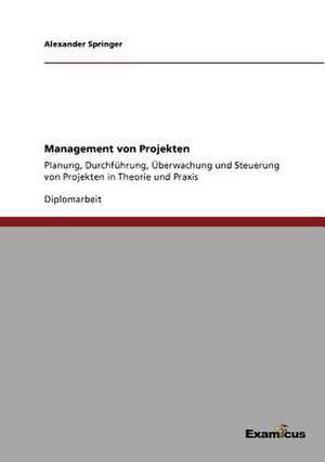 Management von Projekten de Alexander Springer