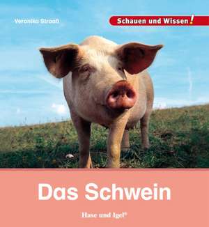 Das Schwein de Veronika Straaß