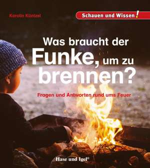 Was braucht der Funke, um zu brennen? de Karolin Küntzel