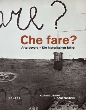 Che fare? Arte povera de Maddalena Disch