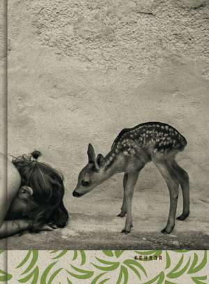 Summer of the Fawn de Alain Laboile