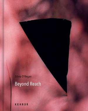 Beyond Reach: Along the Berlin Wall trail de Ethna O'Regan