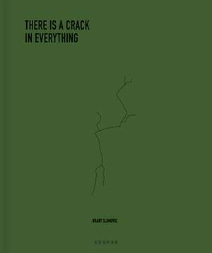 The Cracks in Everything de Brant Slomovitch