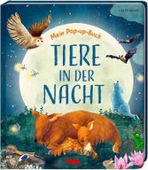 Mein Pop-up-Buch - Tiere in der Nacht de Becky Davies