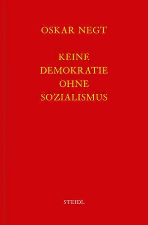 Werkausgabe Bd. 5 / Keine Demokratie ohne Sozialismus de Oskar Negt