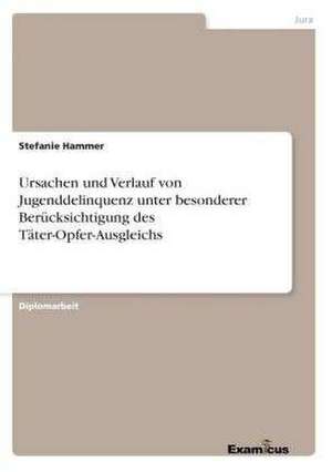 Ursachen und Verlauf von Jugenddelinquenz unter besonderer Berücksichtigung des Täter-Opfer-Ausgleichs de Stefanie Hammer